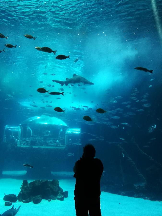 Las Canteras Aquarium Las Palmas de Gran Canaria Exterior foto