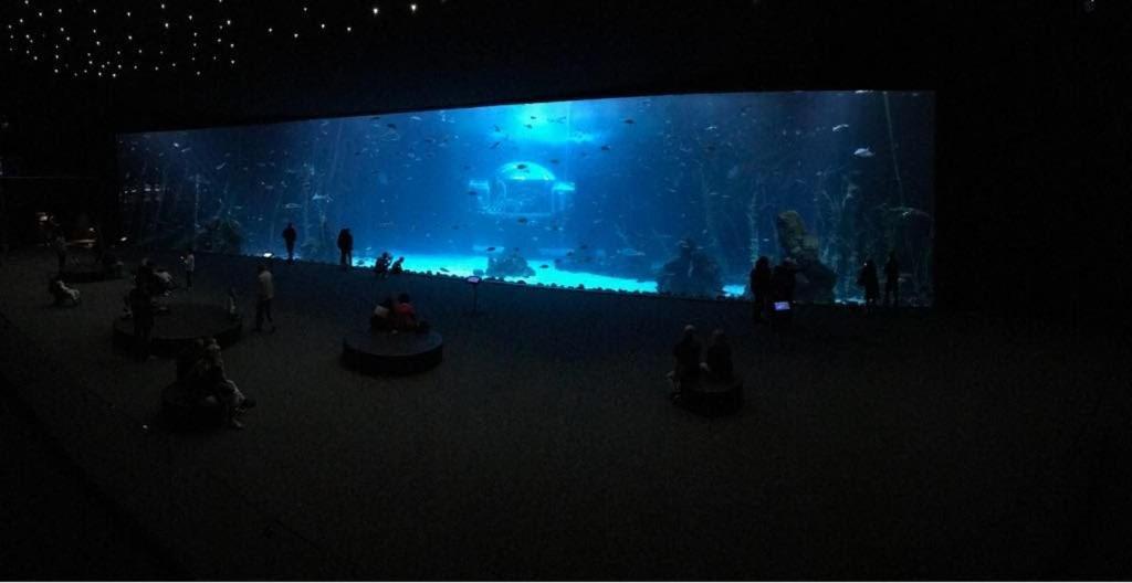Las Canteras Aquarium Las Palmas de Gran Canaria Exterior foto